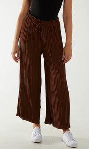 Pleated Trousers