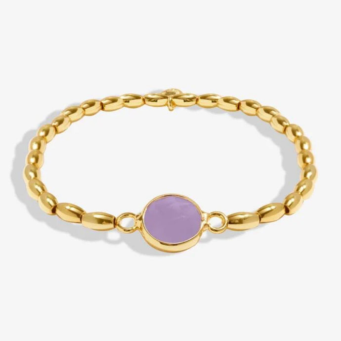 Serenity Stones Amethyst Bracelet In Gold Plating