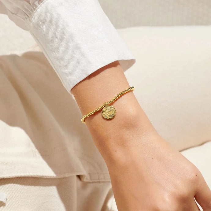 Star Sign A Little 'Pisces' Bracelet