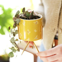 Load image into Gallery viewer, Bee Terracotta Face Planter