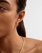 Load image into Gallery viewer, Harlequin Waterproof Gold Hoop Earrings