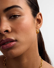 Load image into Gallery viewer, Aurielle Waterproof Gold Hoop Earrings