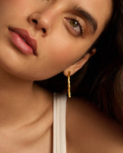 Load image into Gallery viewer, Harlequin Waterproof Gold Drop Stud Earrings