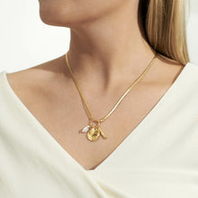 Load image into Gallery viewer, Riva &#39;Love&#39; Necklace