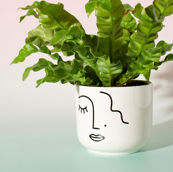 Abstract Face White Large Planter