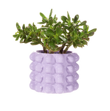 Load image into Gallery viewer, Lilac Bobble Planter